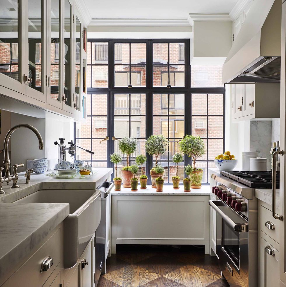 small kitchen cece barfield thompson new york