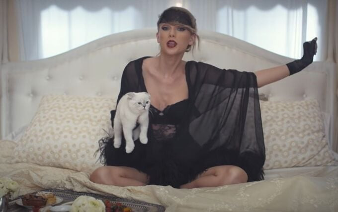 tpn-Taylor Swift's cat holds the third position among the world's ...