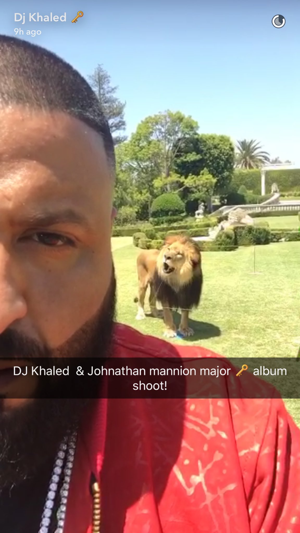 Alysha Tsuji on X: "DJ Khaled did a photoshoot with a real lion. I'm  nervous just watching. https://t.co/7OS08lrtoJ" / X